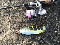 Ката Ной заставил меня везти тубус палки и полчемодана морской резины