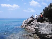 Банг Тао дал мне два схода тунца и быстро вернул на камни Сурина