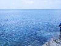 Банг Тао дал мне два схода тунца и быстро вернул на камни Сурина