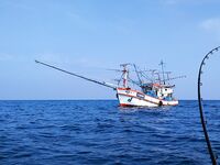 Банг Тао дал мне два схода тунца и быстро вернул на камни Сурина