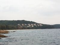 Найтон быстро убрал мой лишний силикон и оставил две рабочие морские схемы