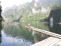 Патонг оставил мне мидию рапана и пустой вечер по кальмару