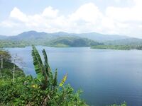 Патонг оставил мне мидию рапана и пустой вечер по кальмару