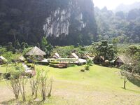 Патонг оставил мне мидию рапана и пустой вечер по кальмару