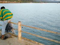 Ко-Куд оставил мне сожаление без снастей и осторожность под кокосами