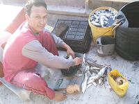 Каронское озеро с каменными кораблями оставило мне сомов и вопросы по тилапии