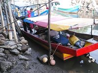 Каронское озеро с каменными кораблями оставило мне сомов и вопросы по тилапии