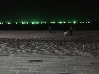 Каронское озеро с каменными кораблями оставило мне сомов и вопросы по тилапии