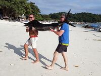 Полчаса на пирсе и узел флюра не выдержал рыбу которую я так и не увидел