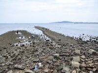 После берега в Паттайе я уже смотрел в сторону лодки ради тунца и марлина