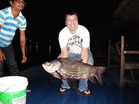 IT Monstr под Канчанабури дал мне баррамунди и двух редтейлов на воблер