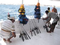 Подубинистая закидушка с двумя крючками выглядела у меня самым прямым морским решением