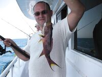 Подубинистая закидушка с двумя крючками выглядела у меня самым прямым морским решением