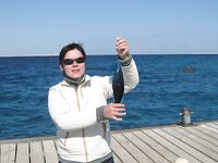 Профессиональная яхта в Хургаде оказалась тестом для нервов а пирс добрал мне рыбу