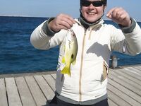 Профессиональная яхта в Хургаде оказалась тестом для нервов а пирс добрал мне рыбу