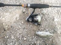 Зимняя Хургада отдала мне ультралайт с берега и фугу вместо большого сезона