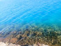 Зимняя Хургада отдала мне ультралайт с берега и фугу вместо большого сезона