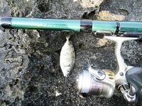 Булка на поплавке и сарганчик на подъеме не дотянули Айя-Напу до флейторыла