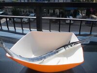 Турецкий сарган на ипек берет после рассвета и не любит резких рывков