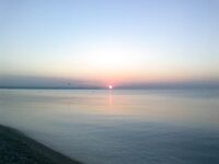 Коньяалты держит паламута у берега а кальмара и осьминога запускает следом