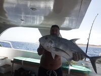 Хургада дала нам утренний троллинг а донка добрала основной вес уже после