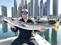 Сын в Дубае взял первую барракуду на 7,5 а моя мамка потянула на девять