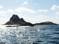 Халаният вернул мне коранкса за полчаса до конца после трех выходов в ноль