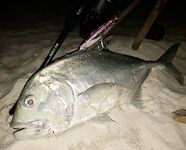 Фулхаду сначала срезал мне плетню а потом отдал первого GT с берега и с лодки