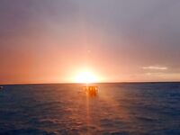 Мушимас у пирса кормил местных а нянька выбирала живца уже у моей жены