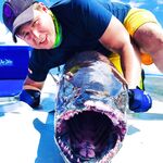 Мальдивы 2018 выключили кастинг но открыли нам желтоперого тунца и парусника