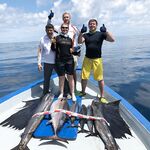 Мальдивы 2018 выключили кастинг но открыли нам желтоперого тунца и парусника