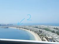 Закрытый пляж Рас-эль-Хаймы дал мне первых барракуд а утром подсунул каракатицу