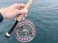 Ближний котел сдулся а дальняя точка у Абу-Даби отдала kingfish 5-7 кг