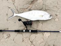 Падение воды в Абу-Даби включило квинфиш только после трех пустых рассветных часов