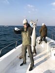 Котлы в Абу-Даби двигались по чайке а kingfish в этот раз не крутил носом