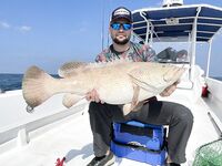 Котлы в Абу-Даби двигались по чайке а kingfish в этот раз не крутил носом