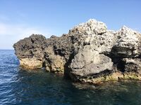 Воскресный отвес и поджиговка в Севастополе закончились дельфинами на полведра ставриды