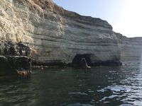 Воскресный отвес и поджиговка в Севастополе закончились дельфинами на полведра ставриды