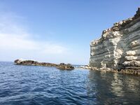 Воскресный отвес и поджиговка в Севастополе закончились дельфинами на полведра ставриды