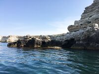 Воскресный отвес и поджиговка в Севастополе закончились дельфинами на полведра ставриды