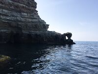 Воскресный отвес и поджиговка в Севастополе закончились дельфинами на полведра ставриды