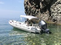 Воскресный отвес и поджиговка в Севастополе закончились дельфинами на полведра ставриды