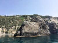 Воскресный отвес и поджиговка в Севастополе закончились дельфинами на полведра ставриды