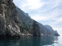 Воскресный отвес и поджиговка в Севастополе закончились дельфинами на полведра ставриды