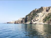 Воскресный отвес и поджиговка в Севастополе закончились дельфинами на полведра ставриды