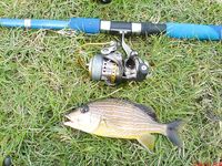 Варадеро дал мне лишь два океанских дня а остальное пришлось вытаскивать катамараном и каналом