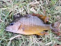 Варадеро дал мне лишь два океанских дня а остальное пришлось вытаскивать катамараном и каналом