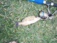 Варадеро дал мне лишь два океанских дня а остальное пришлось вытаскивать катамараном и каналом