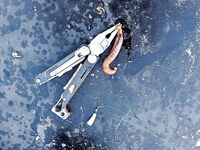 Барракуда на канале после марины пришла раньше чем что-то тяжелое сломало мне кончик спиннинга