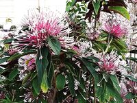 Зимний Варадеро отдал мне барракуду но настоящую кубинскую рыбалку местные обещали только с мая